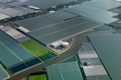 Automated greenhouse roof ventilation seen from above