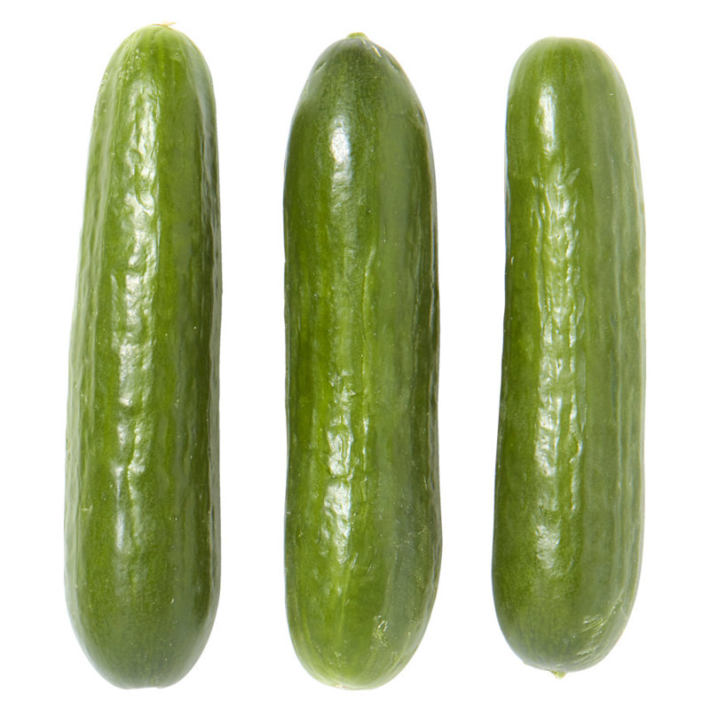 Mini-Gurken im Gewächshaus