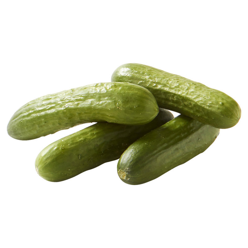 Concombres snack en serre